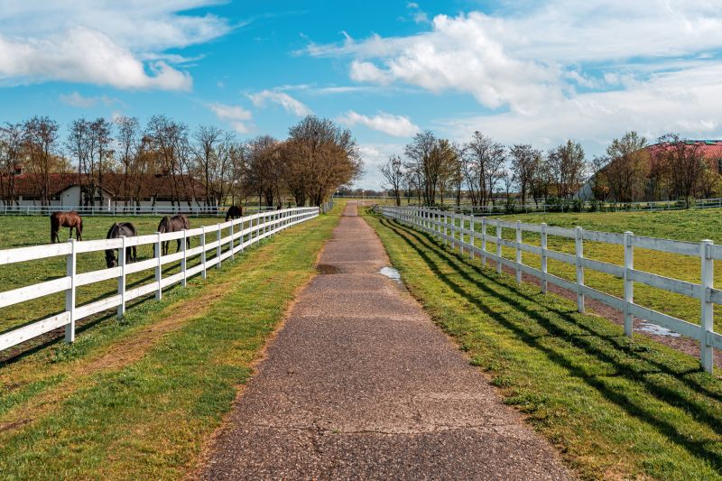Paddock Fence Installation in South Houston, TX