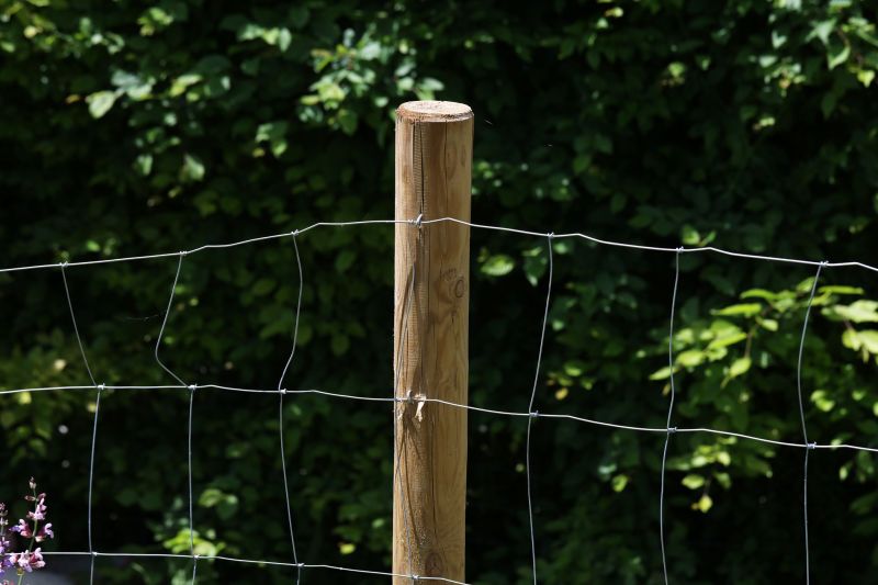 Board Fence Installation in Pearland, TX