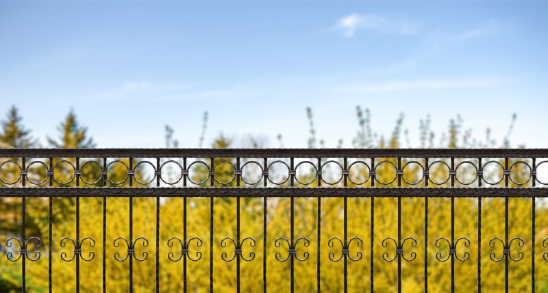 Custom Iron Fence Installation in Alpharetta, GA