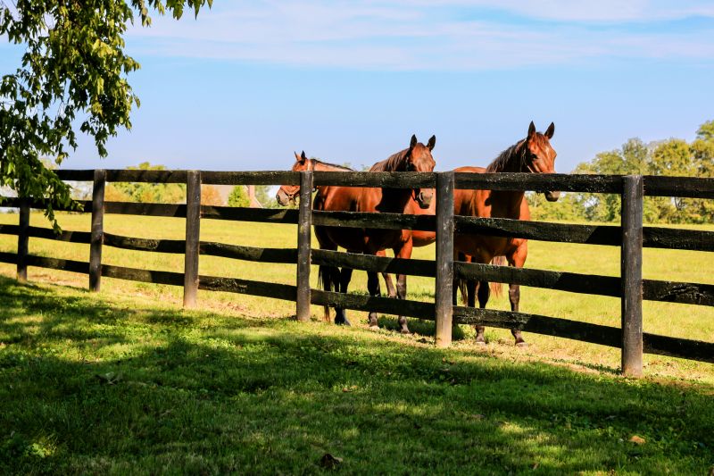Equine Fence Installation in Roseville, CA