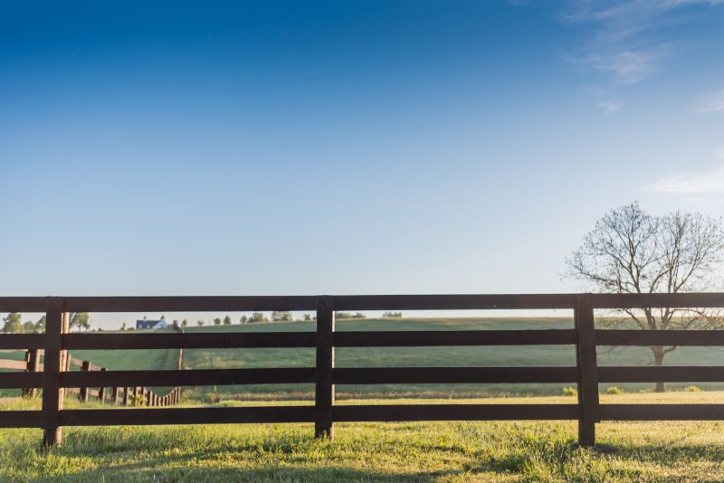 Equine Fence Installation in South Houston, TX