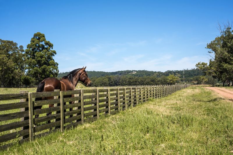 Horse Paddock Installation in Pearland, TX