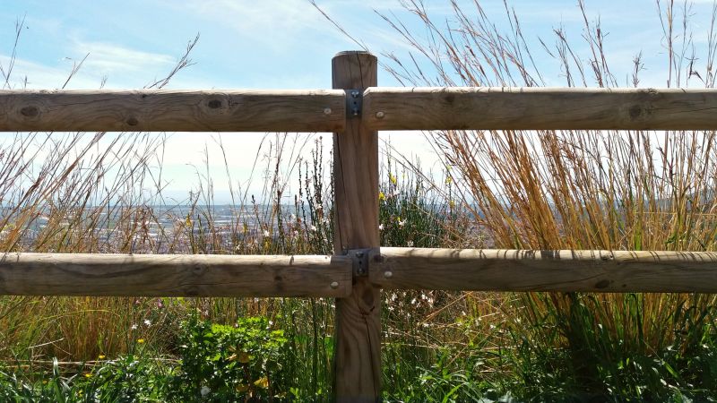 Wood Fence Installation in Sacramento, CA